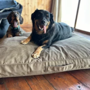 Barka Parka Canvas Beds