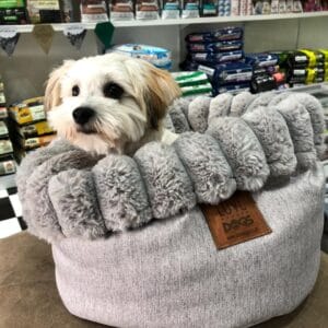 LoveDogs Nap Sac