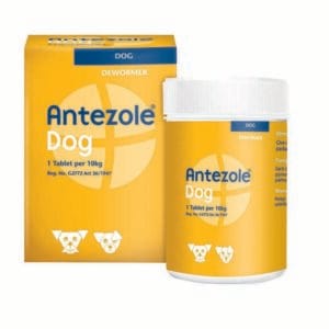 Antezole Dog