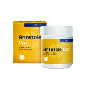 Antezole Cat