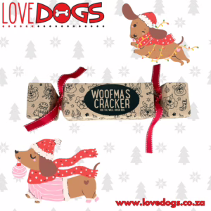 Bark Bakers Woofmas Cracker