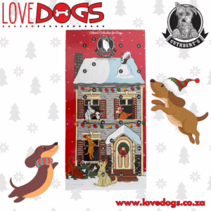 Cuthbert's 24-Day Dog Advent Calendar